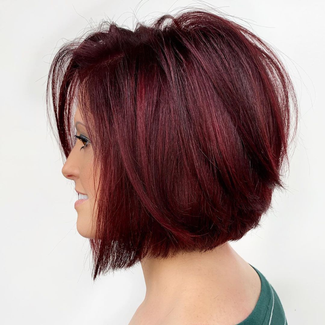 Foto: @shorthairlife [IG]